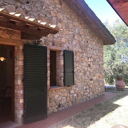 La Sassetta Villa Bibbona Dış mekan fotoğraf