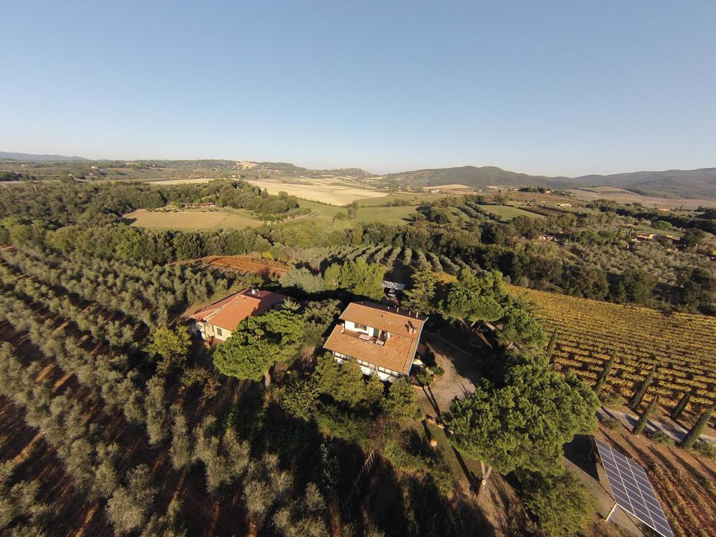 La Sassetta Villa Bibbona Dış mekan fotoğraf