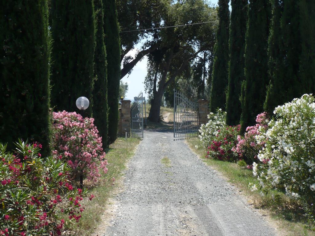 La Sassetta Villa Bibbona Dış mekan fotoğraf