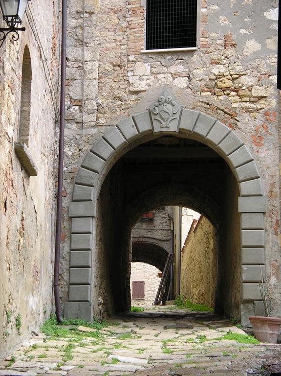 La Sassetta Villa Bibbona Dış mekan fotoğraf